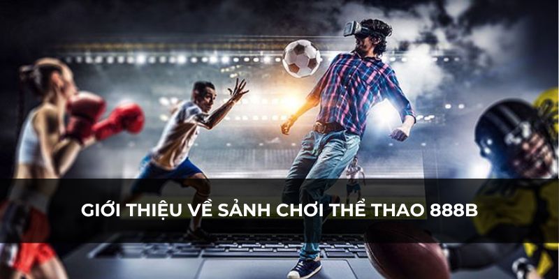 Tìm hiểu về sân chơi hấp dẫn