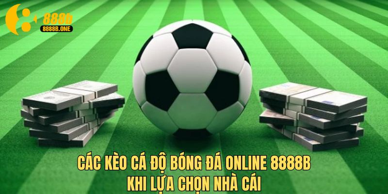 Mẹo cá độ bóng đá online an toàn từ việc lựa chọn nhà cái